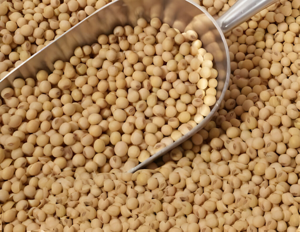 Poor Documentation: Nigeria Loses N1.14trn in Cowpea Exports