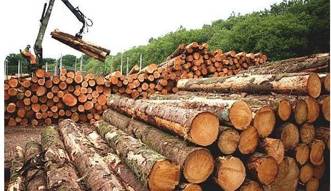 Nigeria To Earn N650bn From Wood Export Ban