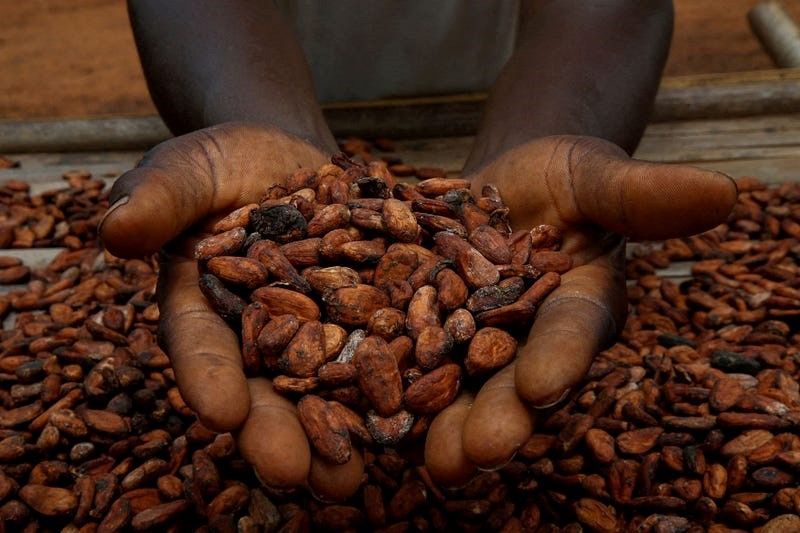 Nigeria to earn $3 billion from cocoa as prices stay higher than $10,100 per ton