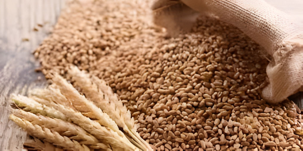 AFAN: Nigeria Loses 13,000 Tonnes Of Imported Wheat To Poor Storage
