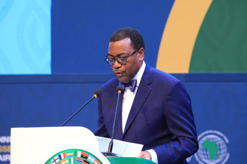 Africa needs $402.2 billion annually by 2030 for structural transformation – AfDB President