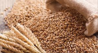 Spending On Wheat Imports Drops By 78% To N544bn