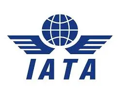 Despite Challenges, Africa Sustains Second-Year Profitability, Says IATA