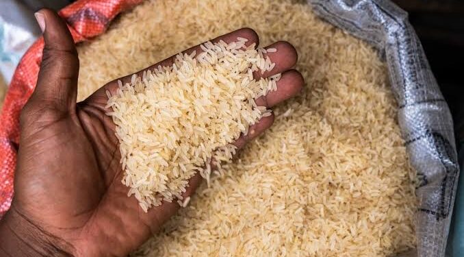 Local rice production can only meet 57% of demand in Nigeria – AFAN official