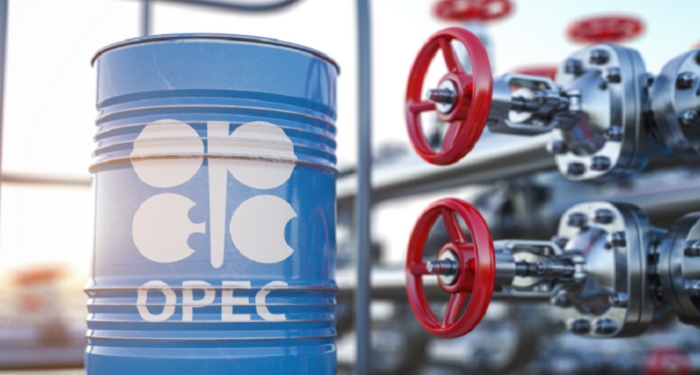 Nigeria’s crude oil production rises to 1.3 million bpd in July- OPEC