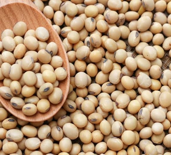 Soya Beans: Massive Export Stirs 22% Price Increase