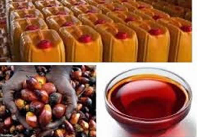 Malaysia Exports N225bn Worth Of Palm Oil To Nigeria