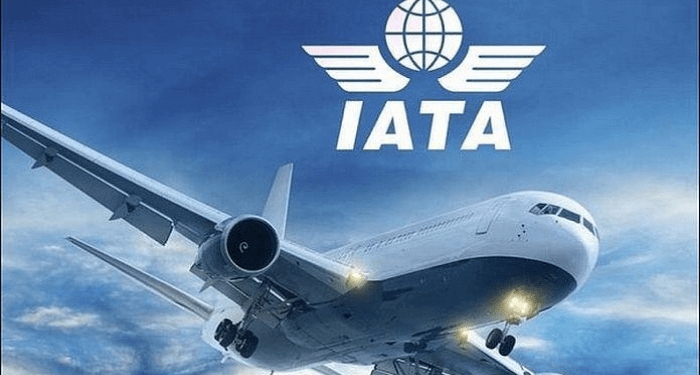 International passenger demand for African airlines grows 12.4% in November 2024 – IATA