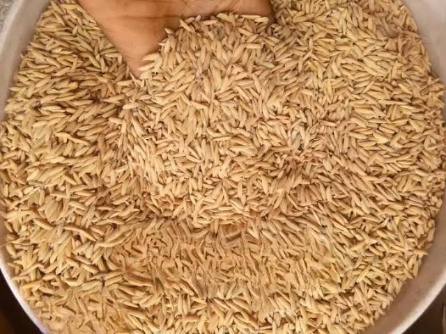 Nigeria To Face N1.43trn Rice Deficit Over Low Production