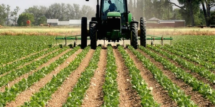 Report: Regulatory uncertainty deterring private capital investment in Nigeria’s Agriculture and Infrastructure sectors
